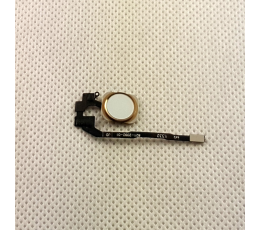 TAŚMA IPHONE 5S SE HOME WHITE / GOLD-12418