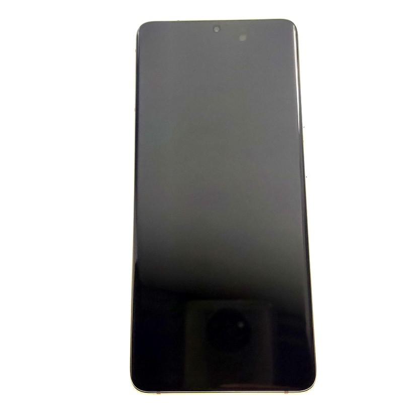 LCD SAMSUNG G998 S21 ULTRA SILVER SERVICE PACK-18754